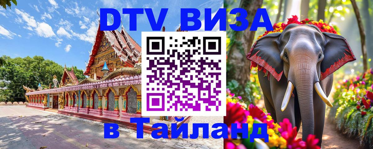 Оформление DTV визы под ключ: стоимость и тарифы, только загранпаспорт - 06.12.2025 